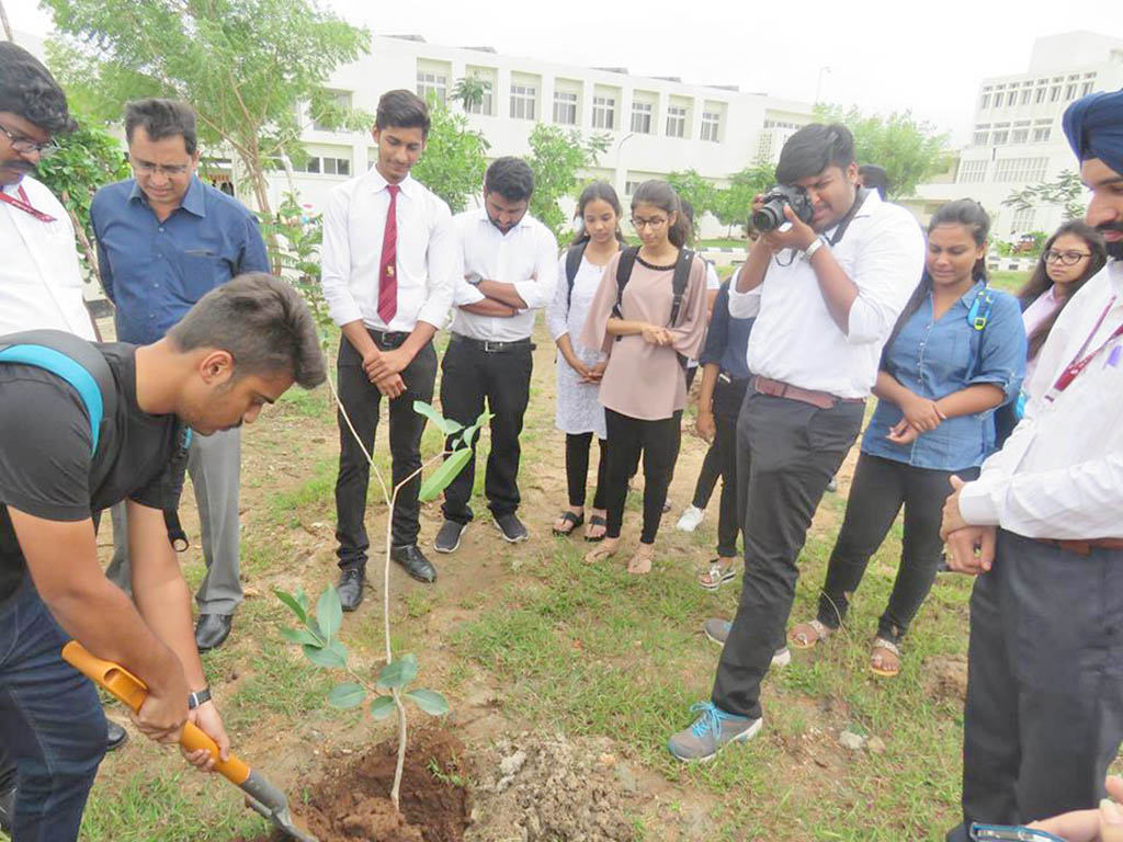 Plantation drive Event - SLS Hyderabad